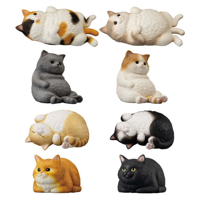 PRE-ORDER Mocchiri Kororin Cat Box of 12