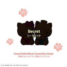 Load image into Gallery viewer, PRE-ORDER Pita Cute Sanrio Characters (repeat) Box of 4
