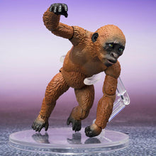 Load image into Gallery viewer, PRE-ORDER S.H.MonsterArts Suko &amp; Mothra Godzilla x Kong : The New Empire (2024)
