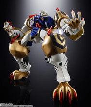 Load image into Gallery viewer, PRE-ORDER SOUL OF CHOGOKIN Ryukooh &amp; Koryuoh Super Robot Wars
