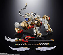 Load image into Gallery viewer, PRE-ORDER SOUL OF CHOGOKIN Ryukooh &amp; Koryuoh Super Robot Wars
