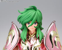 Load image into Gallery viewer, PRE-ORDER Saint Cloth Myth Ex Andromeda Shun [God Cloth]
