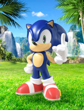 Load image into Gallery viewer, PRE-ORDER SoftB (Soft Vinyl) Sonic the Hedgehog
