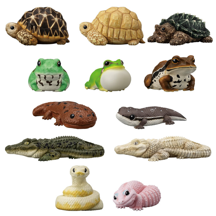 PRE-ORDER Tenori Friends Reptiles and Amphibians Box of 12