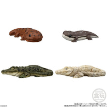 Load image into Gallery viewer, PRE-ORDER Tenori Friends Reptiles and Amphibians Box of 12

