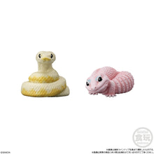 Load image into Gallery viewer, PRE-ORDER Tenori Friends Reptiles and Amphibians Box of 12
