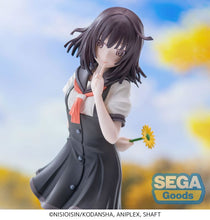 Load image into Gallery viewer, PRE-ORDER XStellar Nadeko Sengoku Monogatari Series
