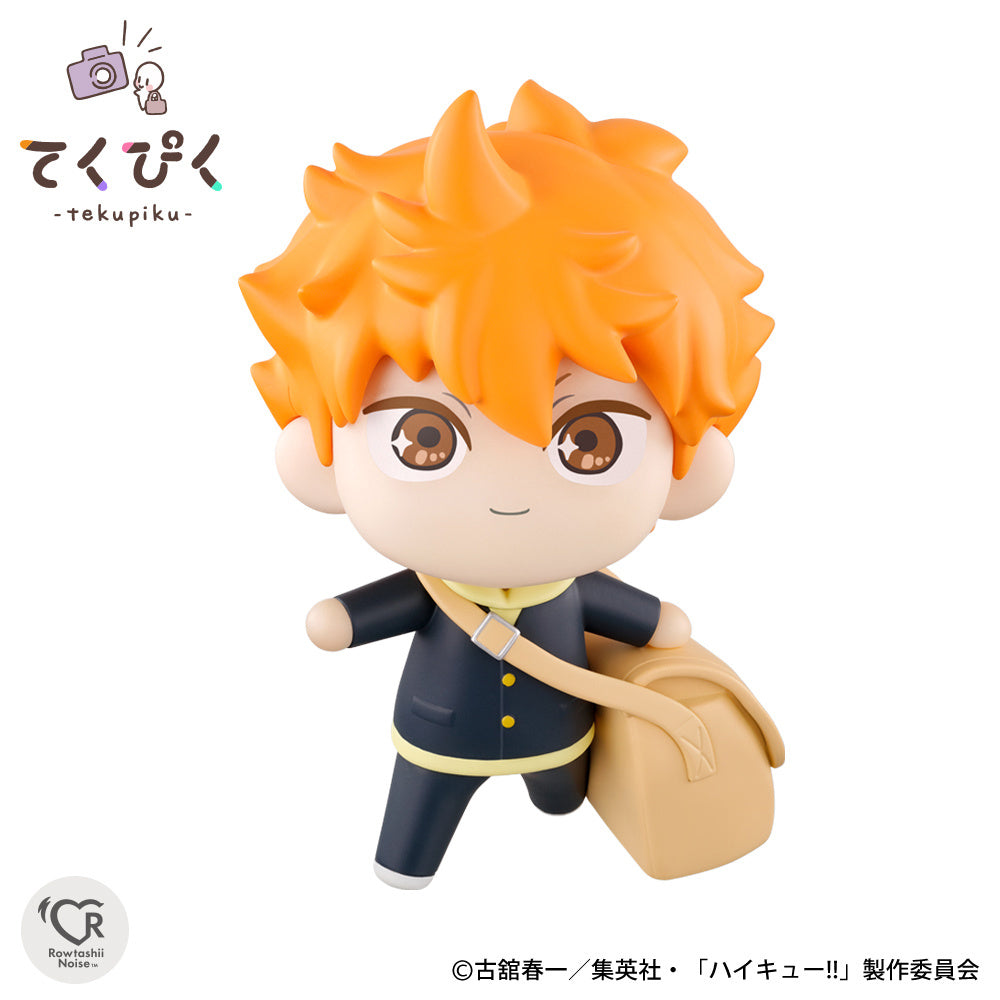 PRE-ORDER tekupiku Shoyo Hinata Haikyu! – Den Den Otaku Shop